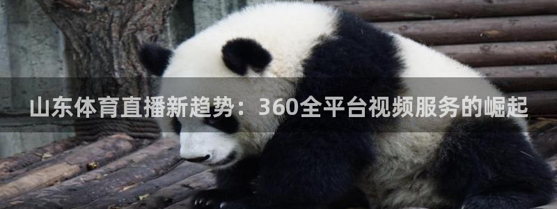 足球直播西瓜看球