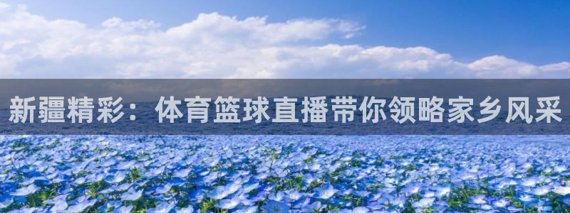 西瓜看球直播下载