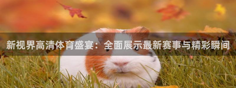 blty33西瓜看球：新视界高清体育盛宴：全面展示最新赛事与精彩瞬间
