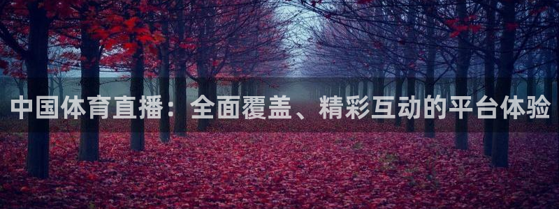 西瓜看球官网：中国体育直播：全面覆盖、精彩互动的平台体验