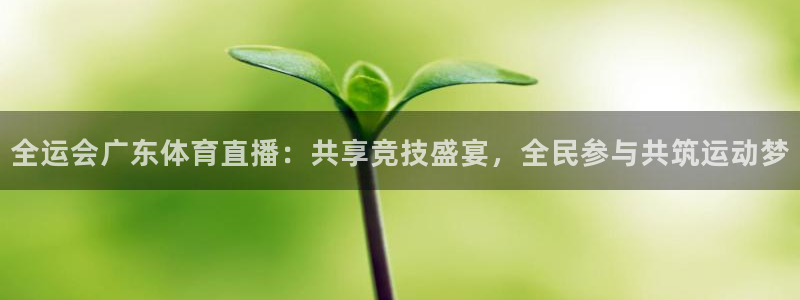 西瓜看球在线：全运会广东体育直播：共享竞技盛宴，全民参与共筑运动梦