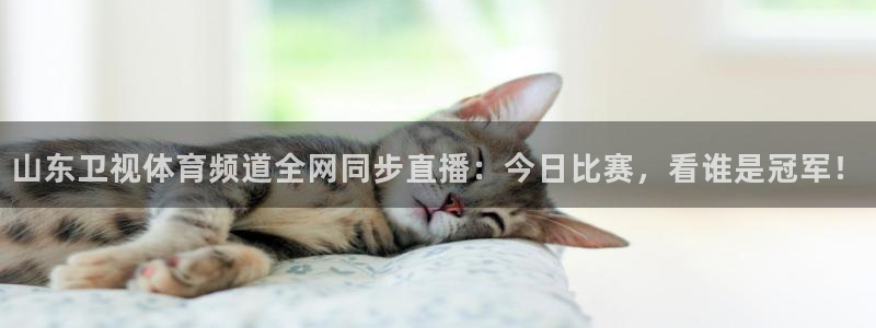 西瓜看球足球直播在线观看：山东卫视体育频道全网同步直播：今日比赛，看谁是冠军！