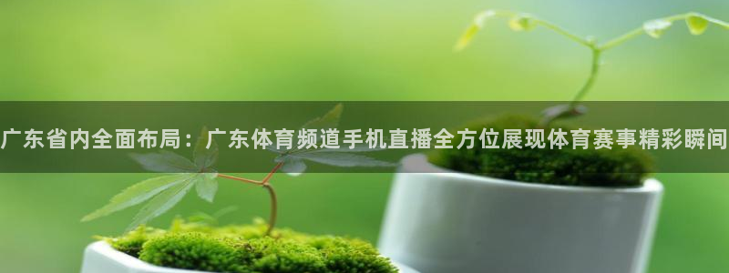 西瓜看球app下载：广东省内全面布局：广东体育频道手机直播全方位展现体育赛事精彩瞬间