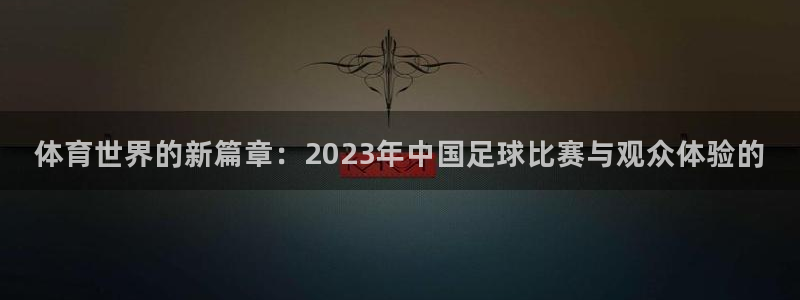 西瓜看球直播在线观看：体育世界的新篇章：2023年中国足球比赛与观众体验的